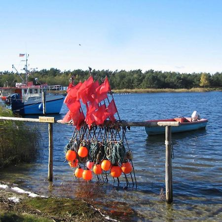 Ferienwohnung _Graureiher_ Zingst Zewnętrze zdjęcie