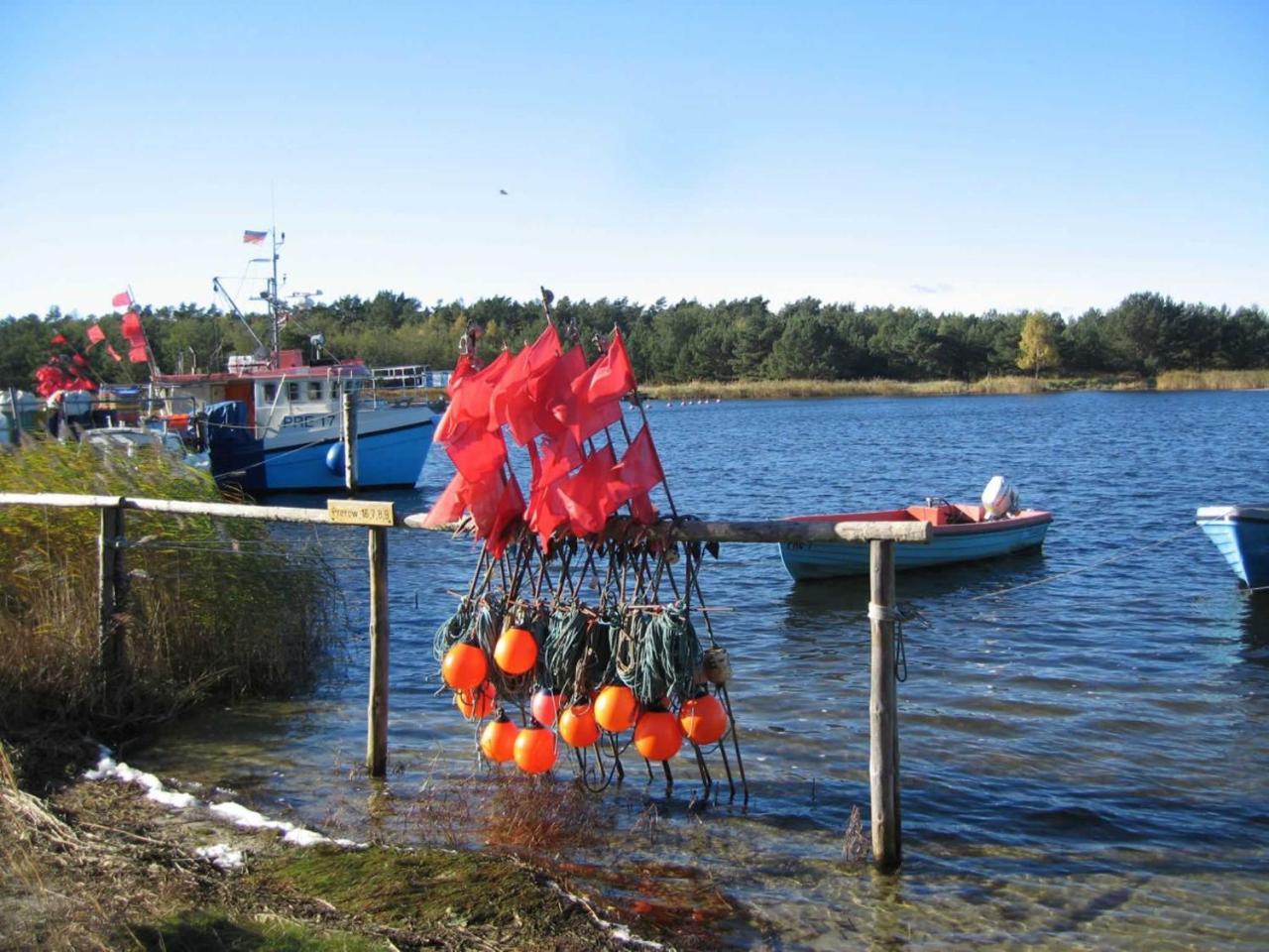 Ferienwohnung _Graureiher_ Zingst Zewnętrze zdjęcie