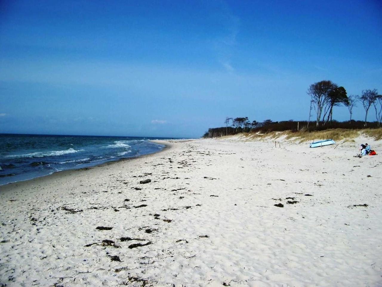 Ferienwohnung _Graureiher_ Zingst Zewnętrze zdjęcie